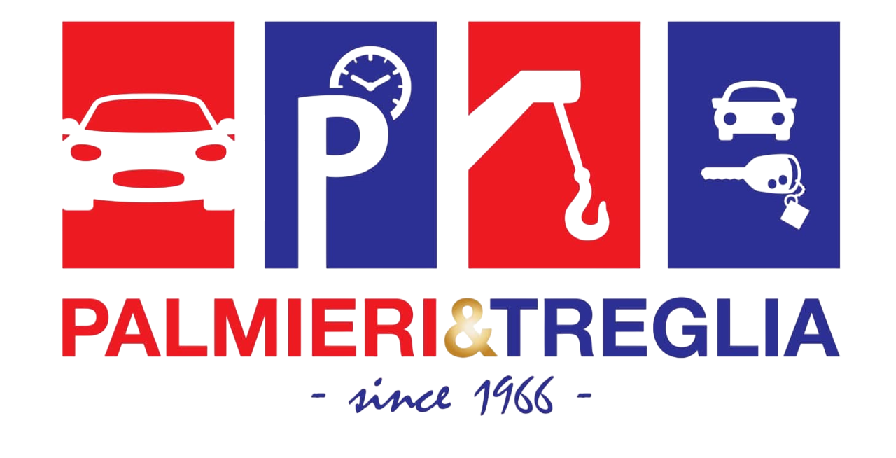 logo palmieri-Photoroom